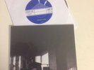 Jack White Stripes , Fly Farm blues Bizzaro 7