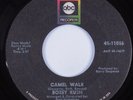 Northern Soul Funk 45 BOBBY RUSH Camel Walk ABC HEAR