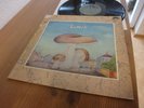 SAMETI - SAME LP 1972 MINT KRAUTROCK KRACHER ON GREEN BRAIN METRONOME