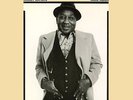 MUDDY WATERS HARD AGAIN LP VINYL 33RPM NEW
