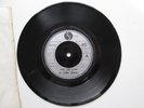 THE FLAMIN' GROOVIES  Shake Some Action/ Teenage Confidential Sire original 1976