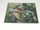 John Mayall? – Blues From Laurel Canyon US LP