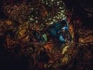 Damian Lazarus & The Ancien...-Message from the Other Side Vinyl / 12