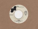 Posse - Evil / Are You Ready - Janus Demo - Northern Soul Crossover Motown Tmg R