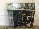 BRIAN ENO - HERE COME THE WARM JETS - BRAND NEW REISSUE BLACK VINYL LP RECORD