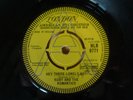 RARE DEMO SAMPLE - RUBY & THE ROMANTICS  - HEY THERE LONELY BOY - LONDON EX