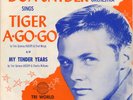 DON SNYDER Tiger A-Go-Go TRI WORLD Garage Popcorn Wild Rocker 45 Hear PS