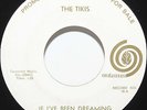 The Tikis 45 If I've Been Dreaming '65 Cali Garage Surf Pop Rock Harpers Bizarre