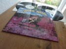 VERTIGO ANNUAL 1970 LP, Vertigo Swirl 1st Press, MAY BLITZ, CRESSIDA,NUCLEUS