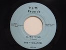 Vigilantes 45 WARM WIND / CATERPILLAR CRAWL   HerMi VG+ Michigan r&r inst Cuca