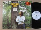 JOE BECK nature boy VERVE FORECAST US VINYL PROMO LP killer psych prog folk VG