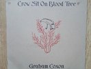Graham Coxon (Blur) - Crow Sit On Blood Tree original 2001 double vinyl LP
