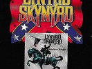 Lynyrd Skynyrd - Southern Knights (Lim. Box Nr. 4179/5000) 2-CD+VHS+PIN / NEU