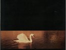 Avalon Sunset Van Morrison vinyl LP album record UK 839262-1 POLYDOR 1989