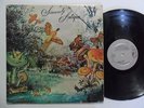 ANTIQUE Sincerely FUNNY Miami Latin Psych Afro Funk LP HEAR G41