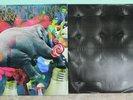 Omar Rodriguez Lopez Group  Los Sueños De Un Higado LP