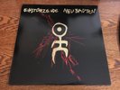 Einsturzende Neubauten 