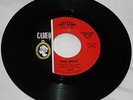 Rare 60's Garage/ The Bold / 