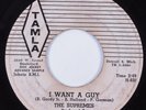 Northern Soul 45 SUPREMES I Want A Guy TAMLA HEAR promo