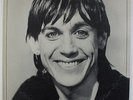 Iggy Pop - Lust For Life LP - RCA VG++