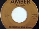 HARBINGER COMPLEX garage psych 45 AMBER Tomorrows Soul Sound, Sometimes I Wonder