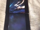 Siouxsie and the Banshees. The Scream orig vinyl record.