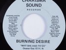 Modern Soul Funk 45 BURNING DESIRE Why She Had To Go CHARISMA HEAR