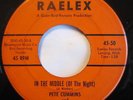 Pete Cummins - VERY RARE Garage - In The Middle & Surfin' Freeze  VG+ Raelex 45
