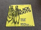 BLACK ROOTS - BRISTOL ROCK - 1981 4 TRACK 12