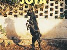 Joya [LP] by Will Oldham (Vinyl, Oct-1997, Drag City Records) new