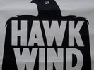 Original HAWKWIND - Lords of the Hawk Concert Poster Leicester 3rd December 1979