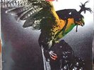 Budgie - In For The Kill NEW LP