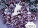Kashmir - E.A.R on White/Purple Vinyl 2LP Inc Gatefold and Booklet NEW