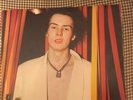 Sid Vicious Sid Sings Vinyl Lp