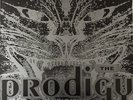 THE PRODIGY - Charly (12