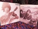 '69 PROMO   TERRY REID   SUPERLUNGS - UK Hard Psych TRIO   IMPACT & VISIONARY