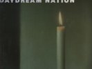Sonic Youth Daydream Nation double LP 1988 Enigma/Blast First original w/poster