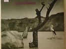 Tonton Macoute UK rare original prog psych LP RCA Neon Martin Rushent
