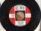 HOAGY LANDS The Next in Line / Please Don't Talk NM LAURIE 3381 Northern Soul 45