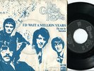 GRASS ROOTS - I'd Wait A Million Years 45 US 60s MOD SOUL GARAGE FUZZ PSYCH PS