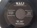THE ILLUSIONS Hey Boy/ Lonely Soldier 45 MALI 104 Bell Sound
