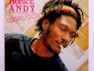 HORACE ANDY - CONFUSION - RARE  UK  LP