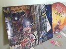 IRON MAIDEN LP AND PICTURE DISK (somewhere in time)