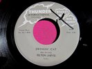 FELTON JARVIS - Swingin' Cat / Honest John - 45 rpm - Thunder 1023