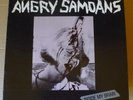THE ANGRY SAMOANS Inside My Brain 12