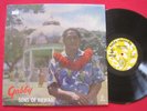 GABBY PAHINUI & THE SONS OF HAWAII (1960) HULA RECORDS 503 PACIFIC FOLK LP EX/NM