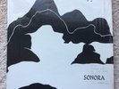 SONORA LP private michigan hippie folk rock POOR RICHARD RELATED acid psych
