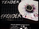 TENDER DEFENDER 1st LP/100 pop punk latterman rvivr iron chic slingshot dakota