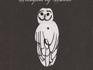 Trampled By Turtles - Palomino Vinyl LP  NEU