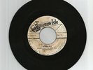 TOMMY McCook & THE SUPERSONICS- WINDFALL/TEACH THE YOUTH- TREAURE ISLE